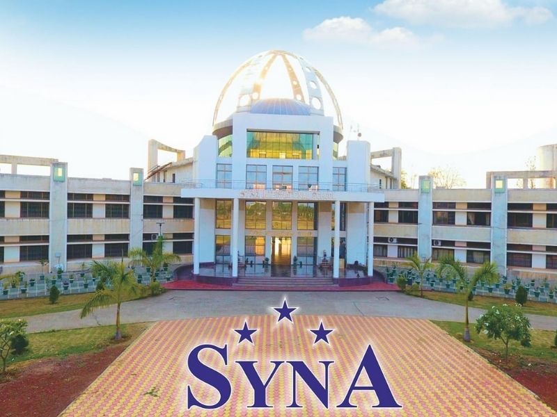 Syna International School