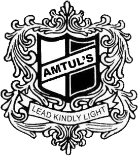 Amtul Public School